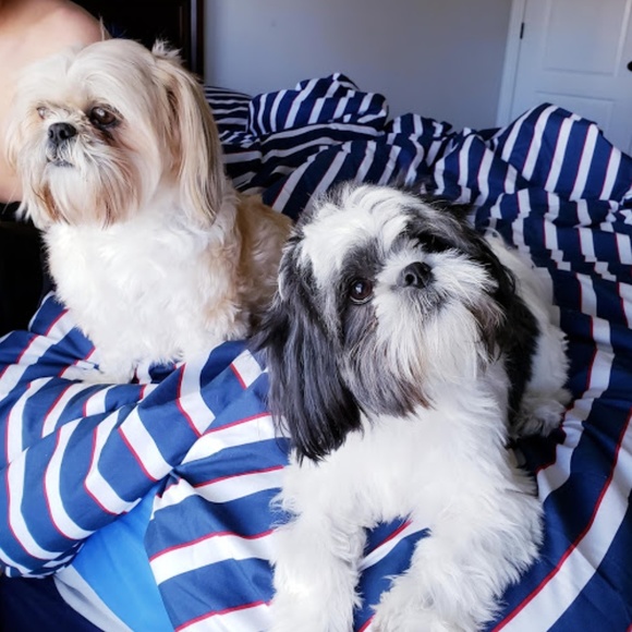 Meet your Posher, Donna - Picture 5 of 8